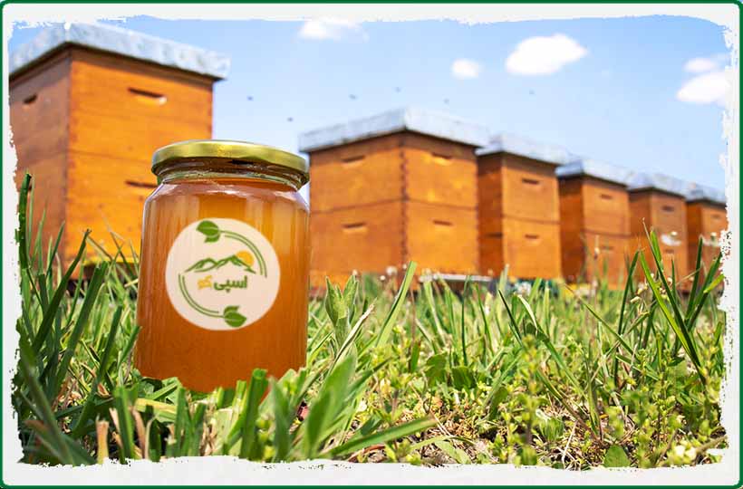 روش خانگی برای تشخیص عسل طبیعی