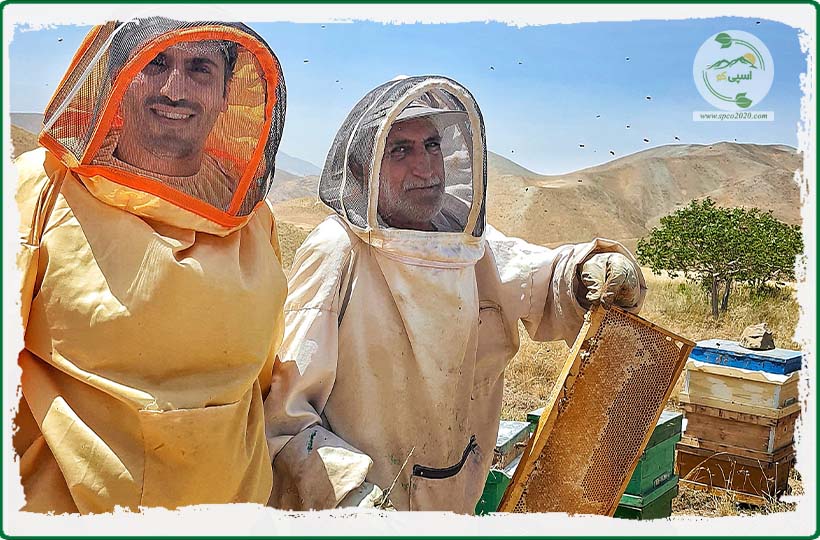 خرید عسل چندگیاه کوهستان